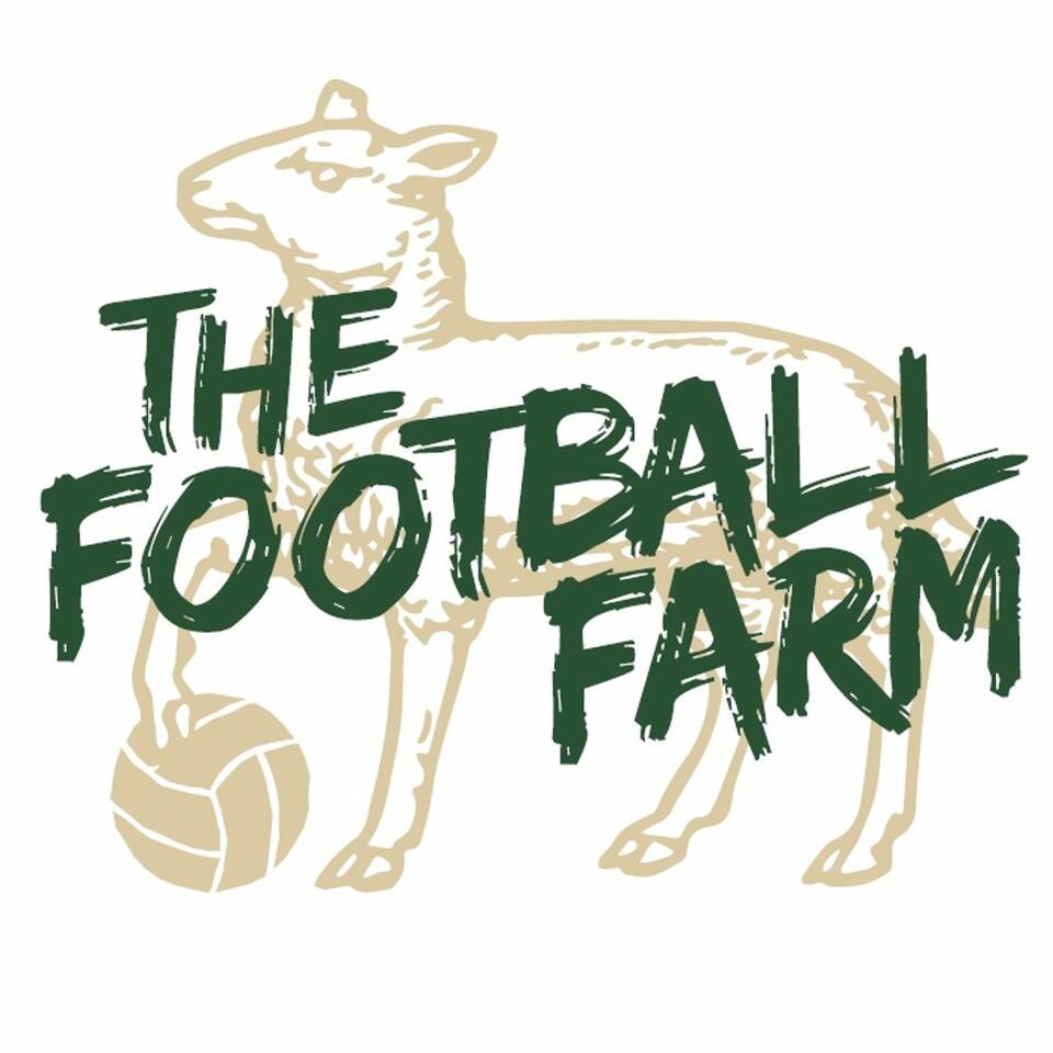 The Football Farm's Swansea Corner