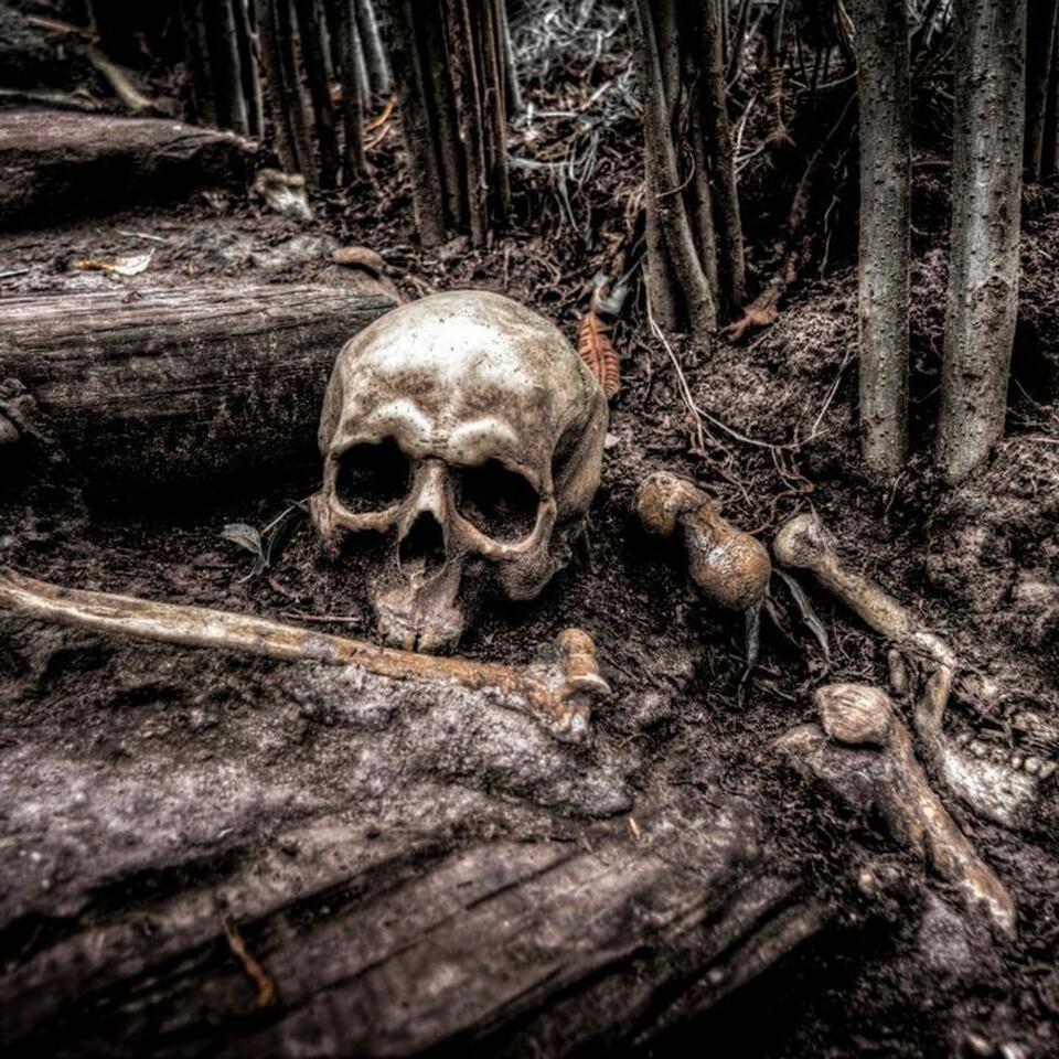 our journey into the paranormal