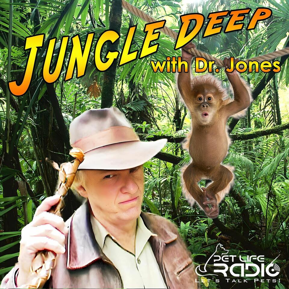 Jungle Deep - The Tropical Lifestyle Podcast- Pet Life Radio Original