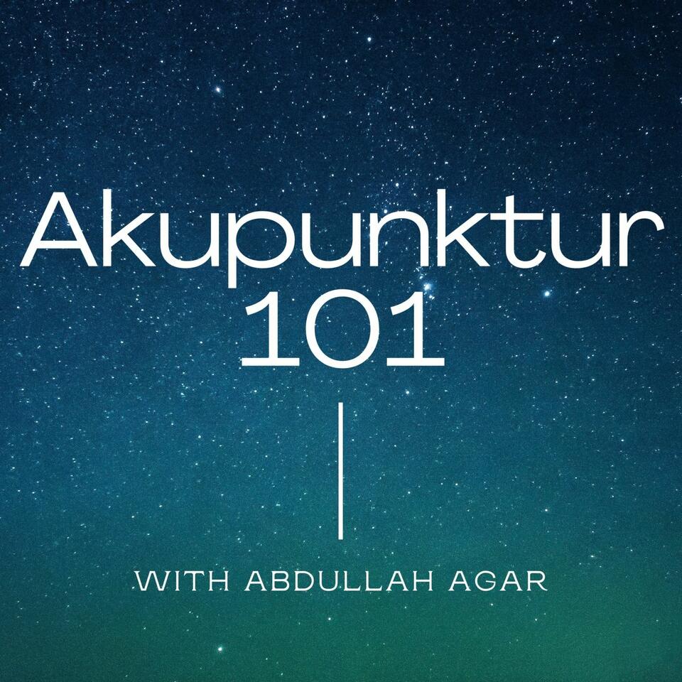 Akupunktur 101