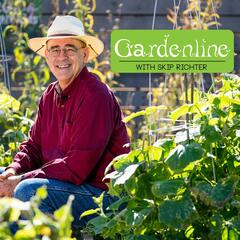 Transplanting Galore - GardenLine with Skip Richter