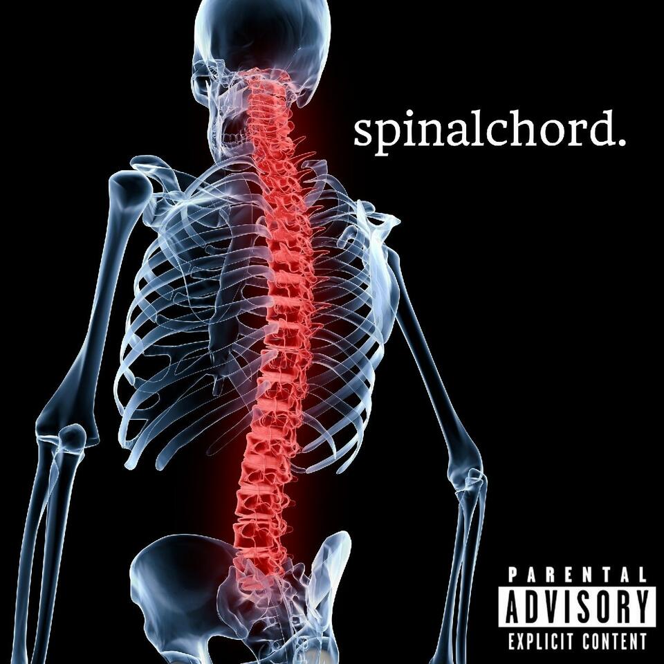 Spinalchord