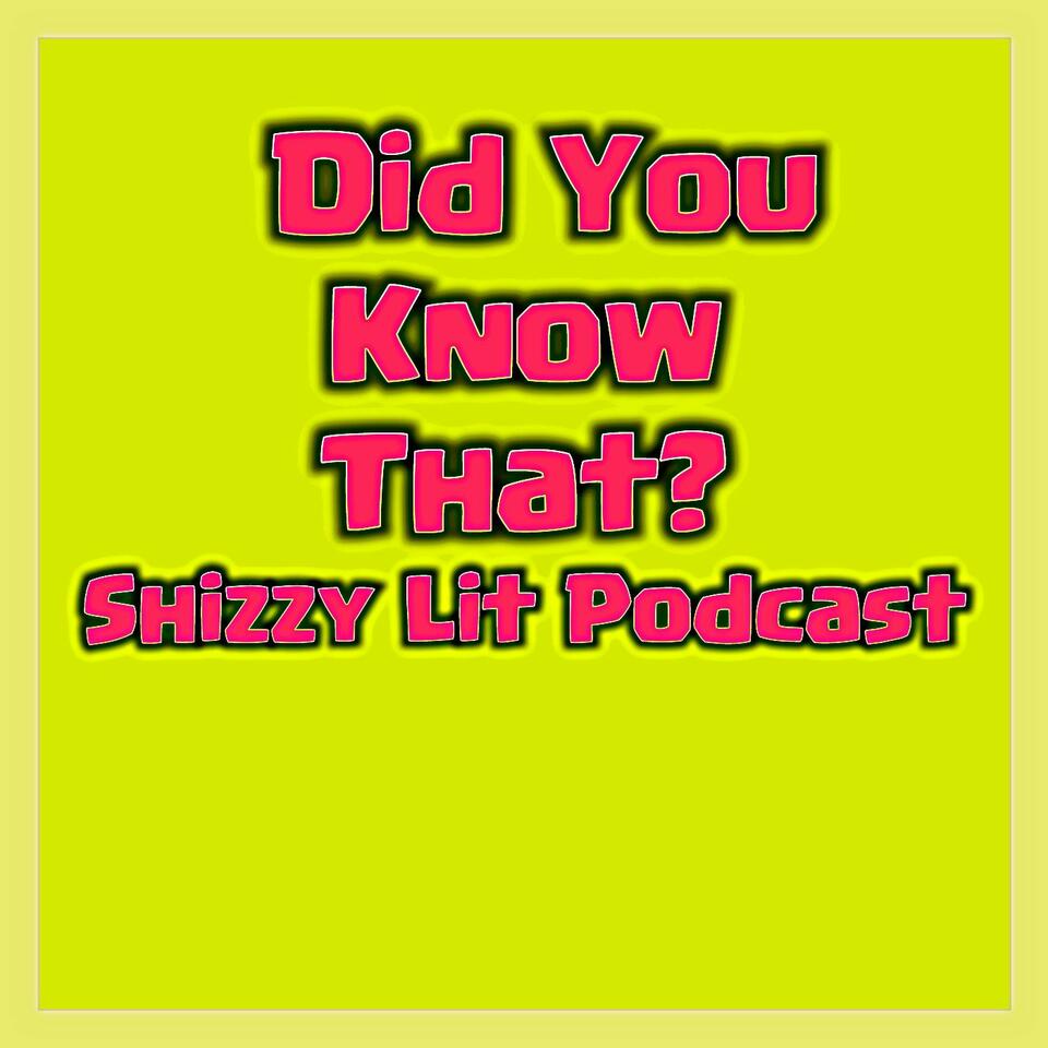 Did You Know That? A Shizzy Lit Podcast quick series!