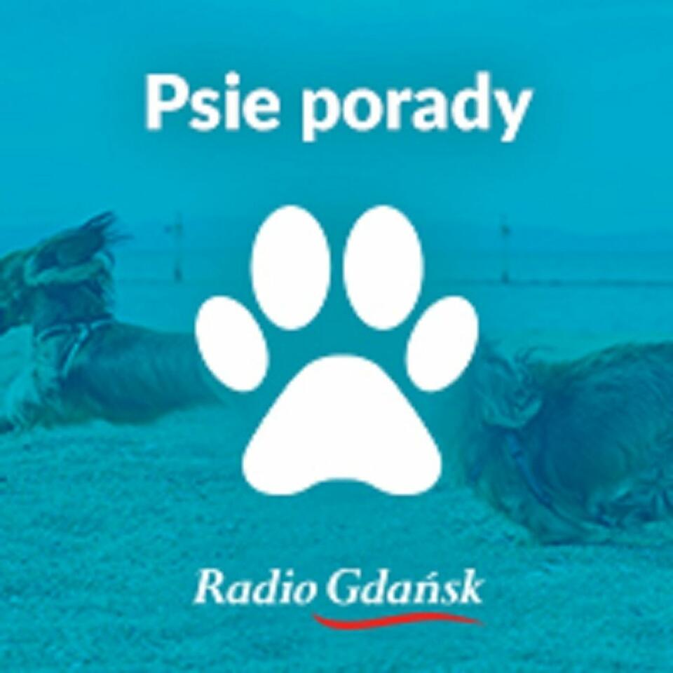 Psie Porady
