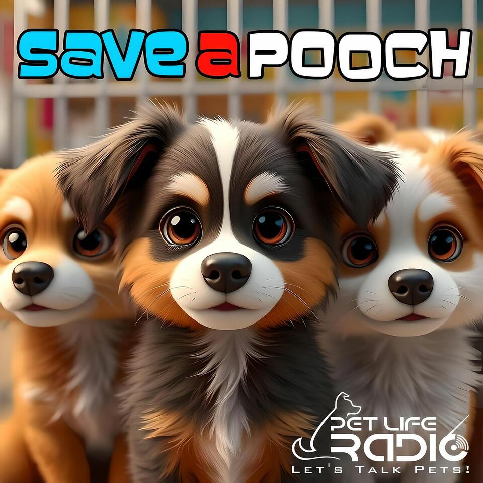 Save A Pooch - Rescue Dog Welfare- Pet Life Radio Original
