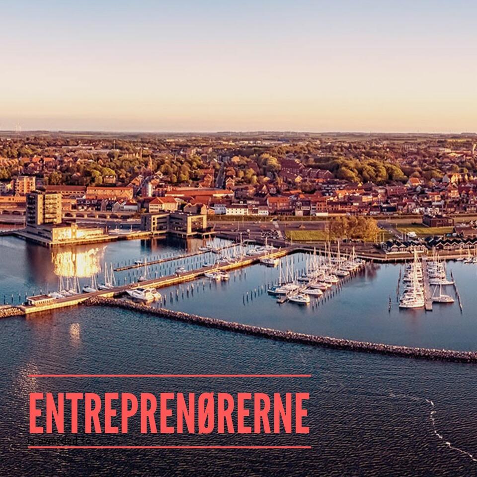 Entreprenørerne