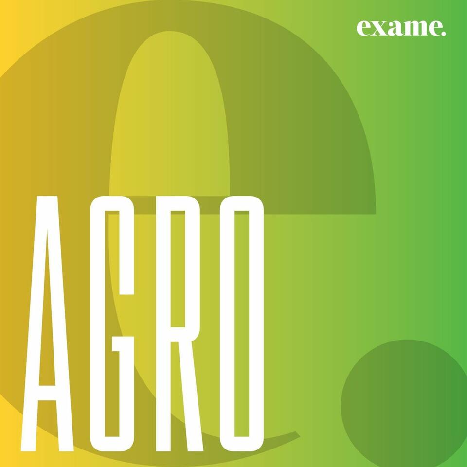exame.agro
