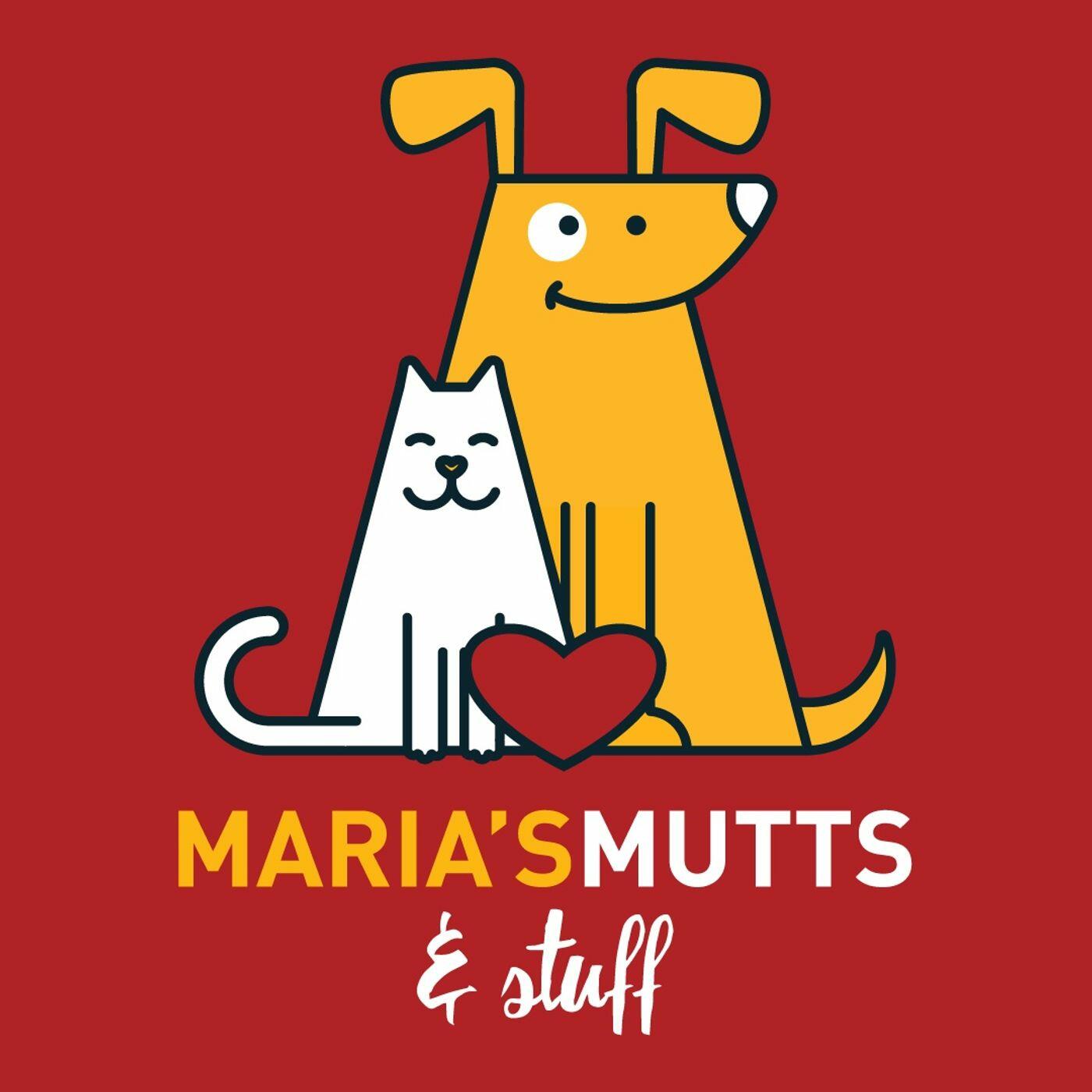 Mutts and stuff store small dog rescue