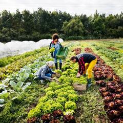 Woman lets the public use her land for food (Smile File) - Steve & Gina in the Morning Podcast