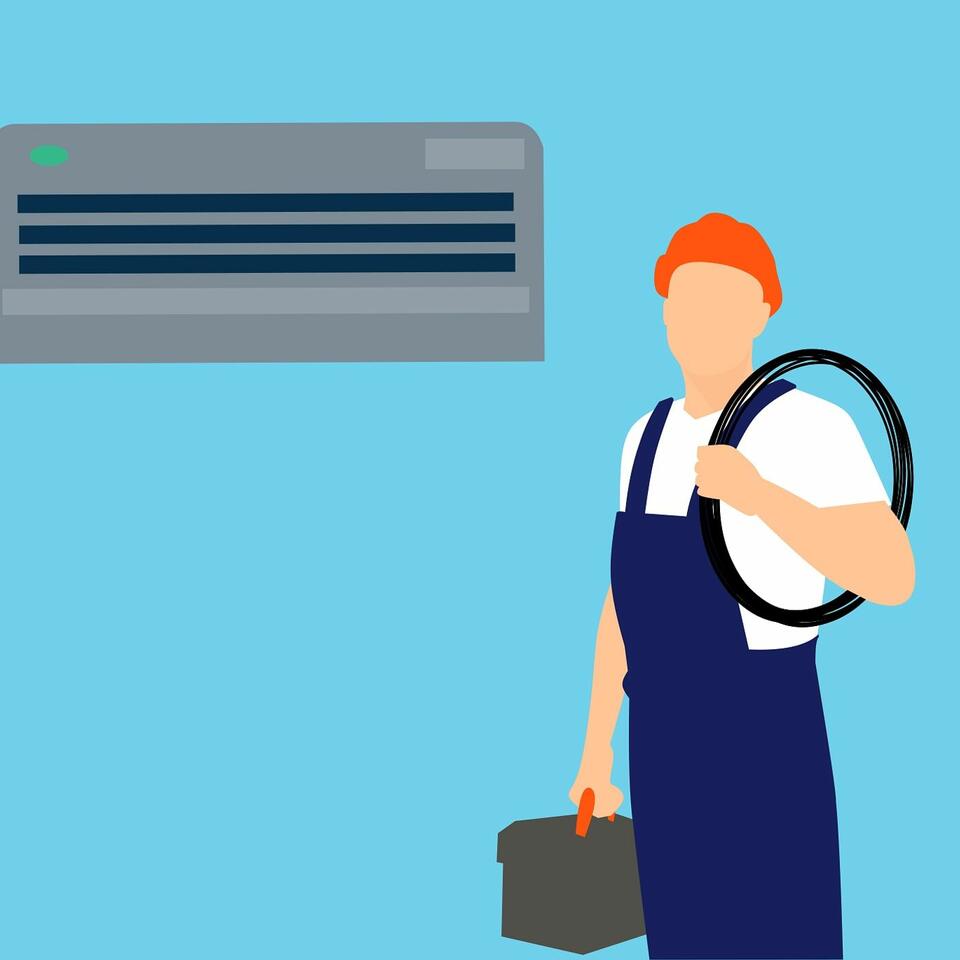 Cursotes Modernos Domesticos