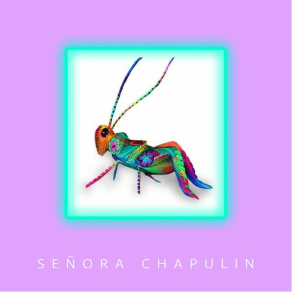 Señora Chapulín | Historias de la vida real