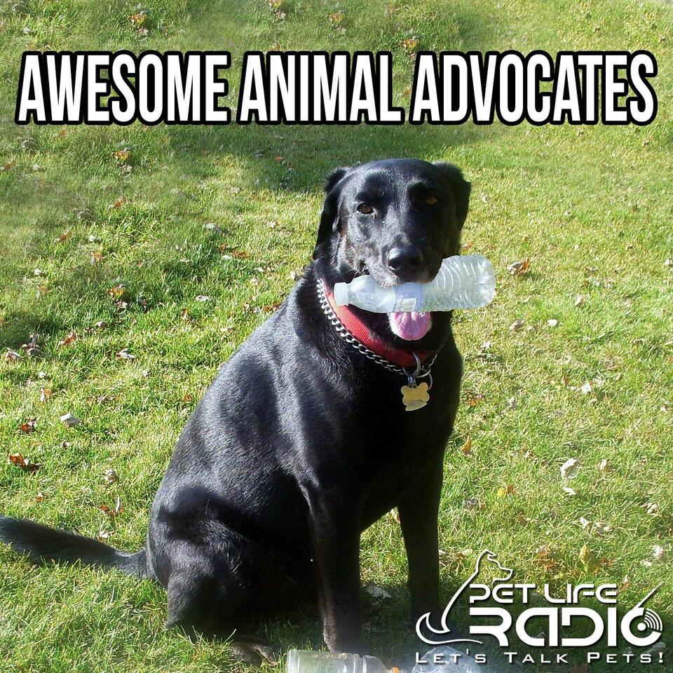 Awesome Advocates- Pet Life Radio Original