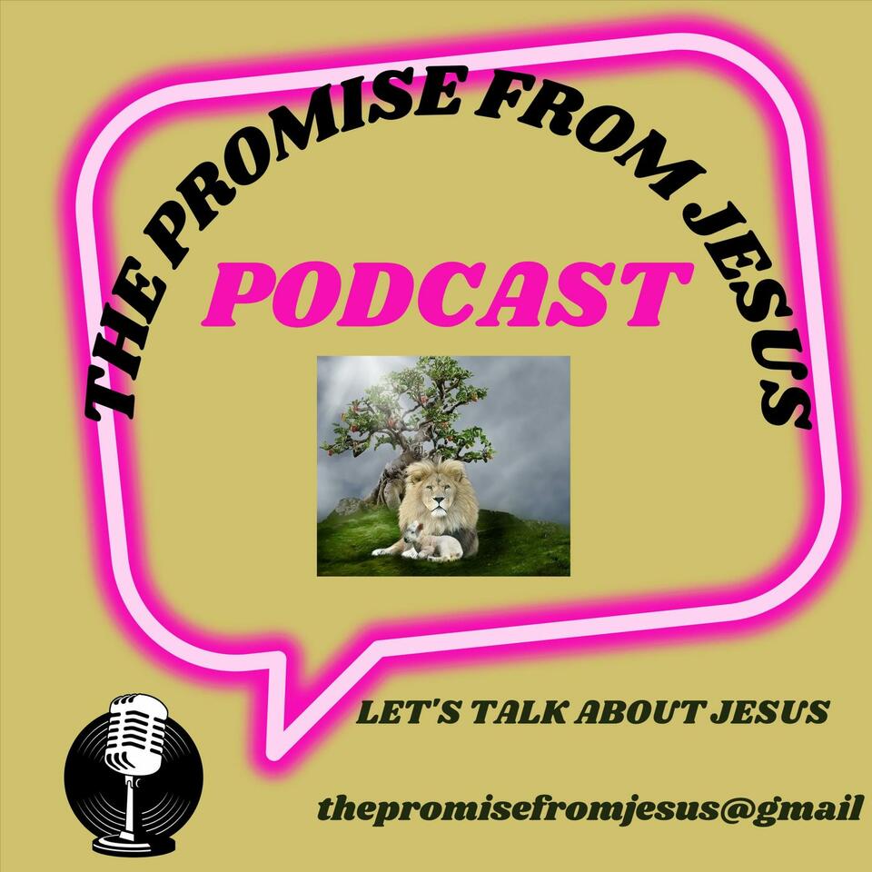 The Promise From Jesus