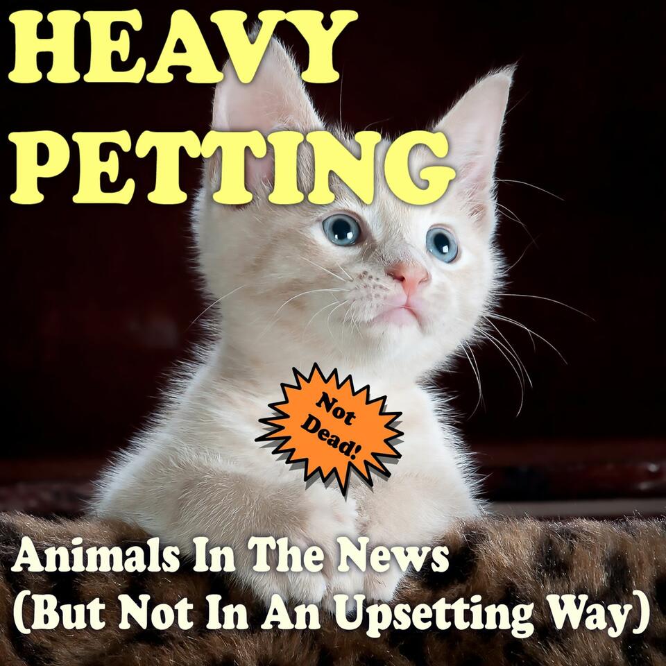 Heavy Petting with Wayne Resnick