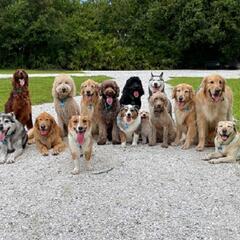 Boy, this birthday gift sure went to the dogs (Smile File) - Steve & Gina in the Morning Podcast