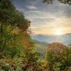 Steve & Gina in the Morning Podcast