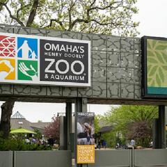 Steve & Gina talk with Jacey from Omaha's Zoo about some great events coming soon! - Steve & Gina in the Morning Podcast