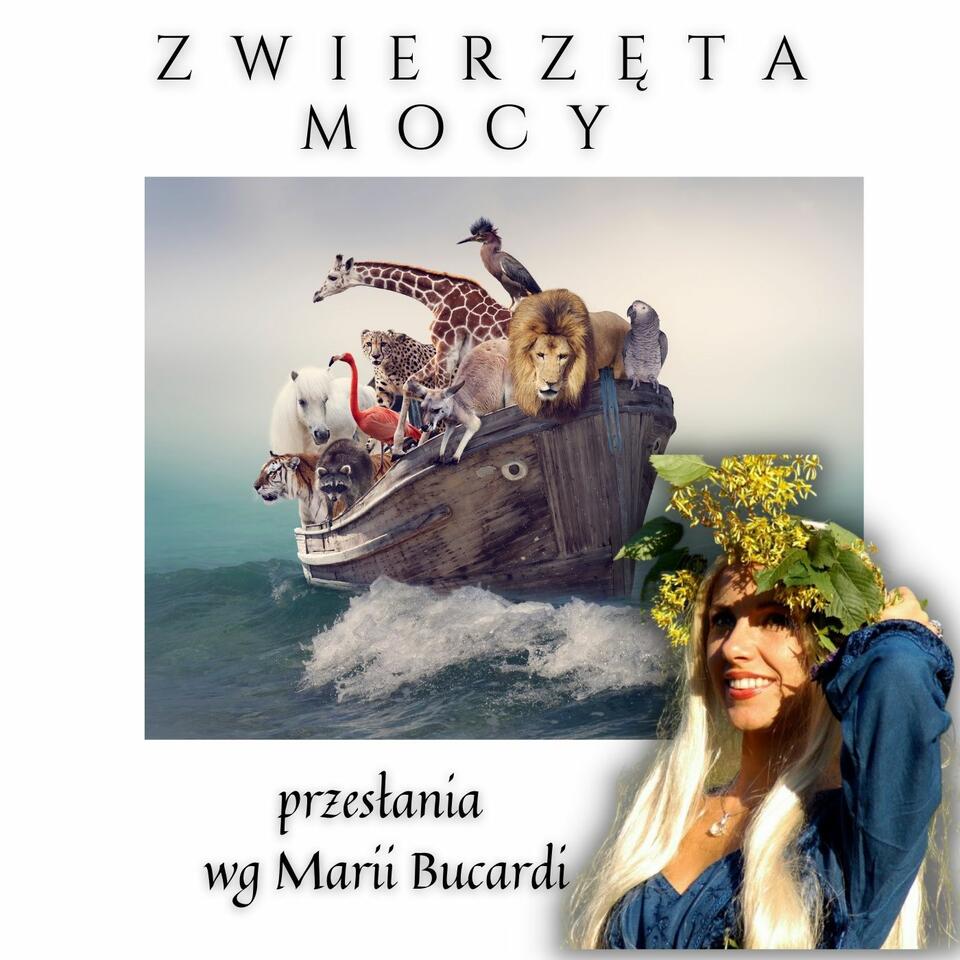 Zwierzęta Mocy wg Marii Bucardi
