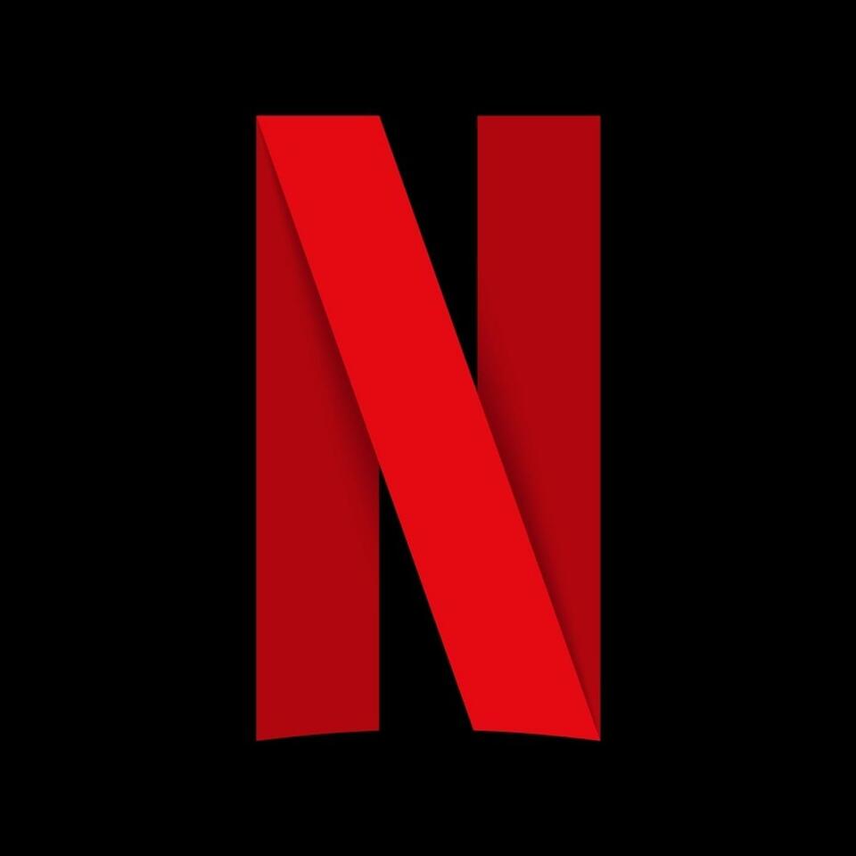 The Netflix Guys