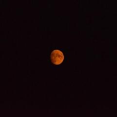 Grooming the moon (Joke of the Day) - Steve & Gina in the Morning Podcast