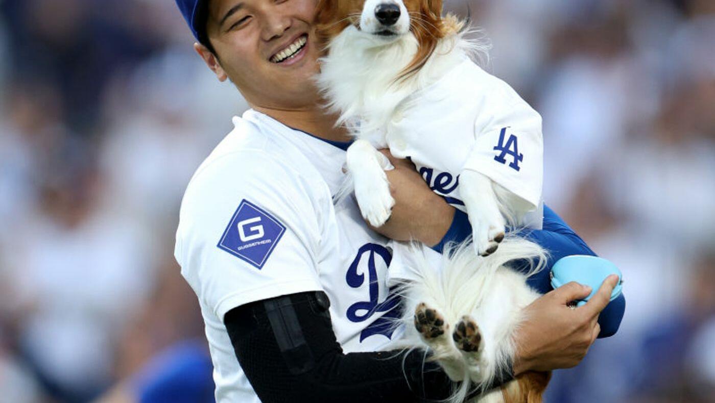 Feel Good Friday: A Dodger Blue Day! Sending A Fan To See Shohei Shine