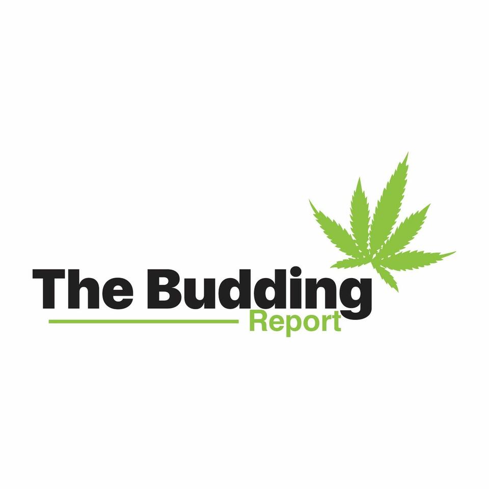 The Budding Report