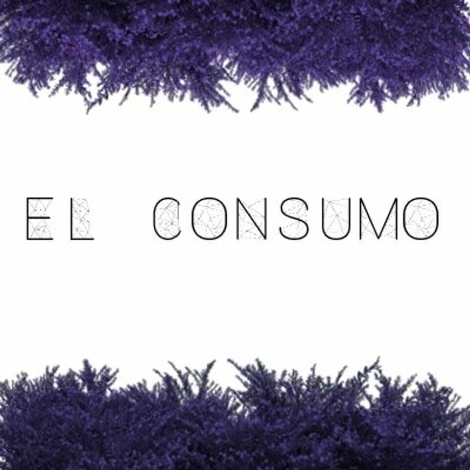 Consumo Responsable e Irresponsable