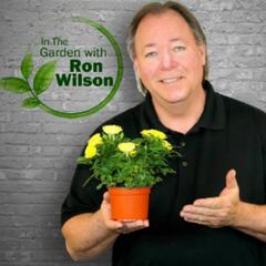 In The Garden with Ron Wilson