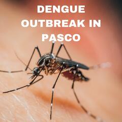 Adriane Rogers - Pasco Mosquito District - Dengue Outbreak - Beyond the News WFLA Interviews