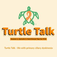 Turtle Talk