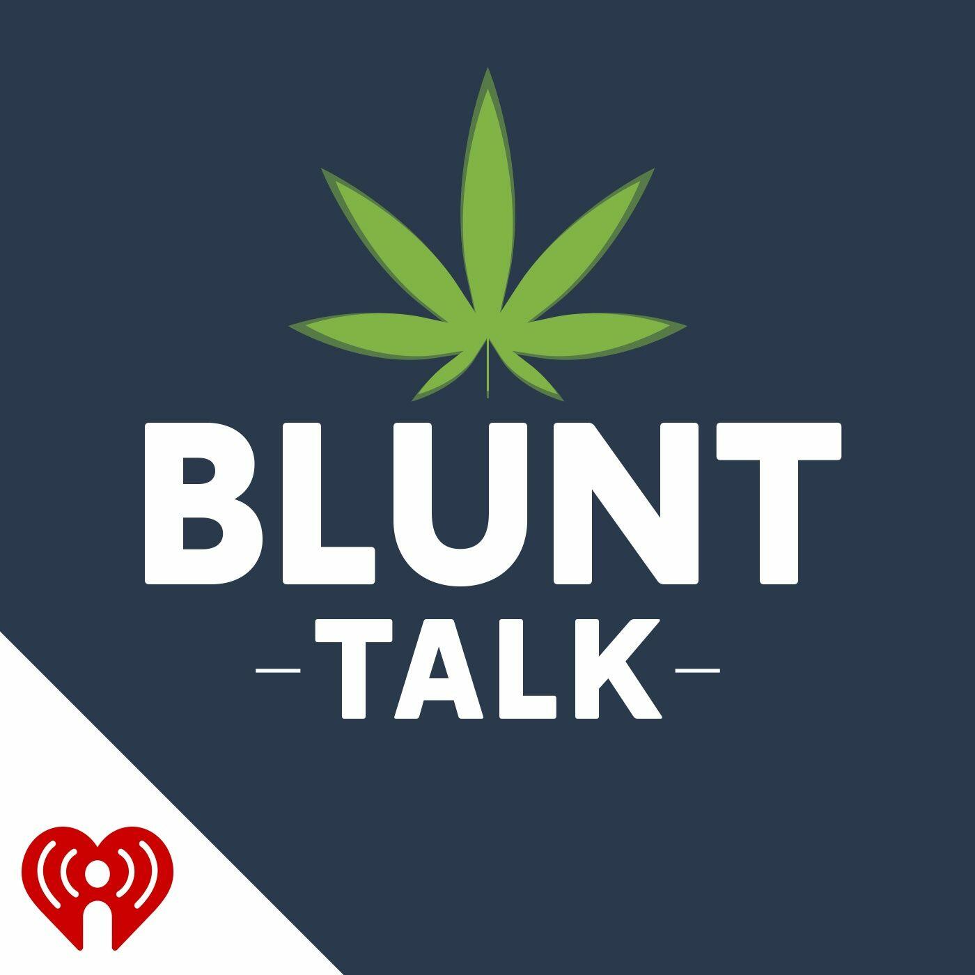 blunt talk netflix