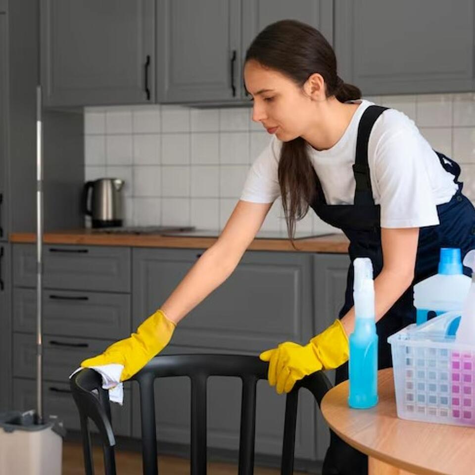 Professional House Cleaning in Seattle
