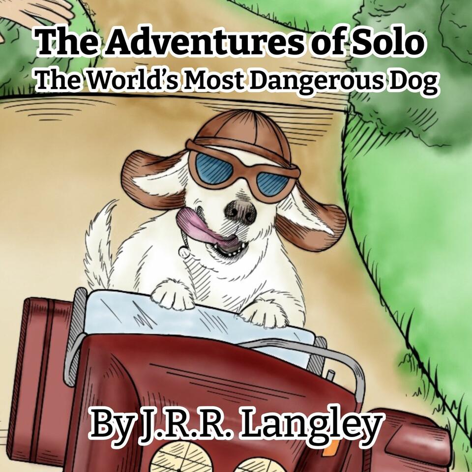 The Adventures of Solo