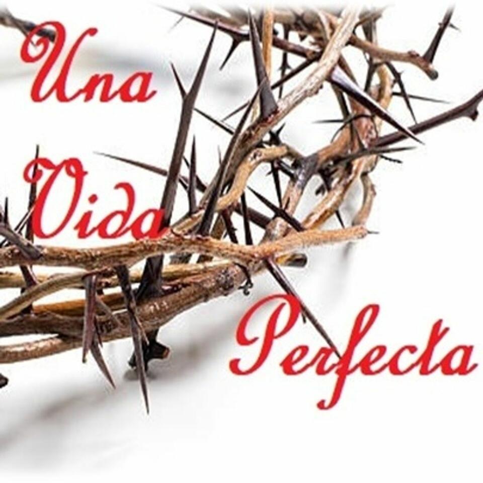 Una Vida Perfecta