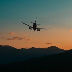 (Joke of the Day) How does an emergency landing make "Joke-of-the-Day"? - Steve & Gina in the Morning Podcast