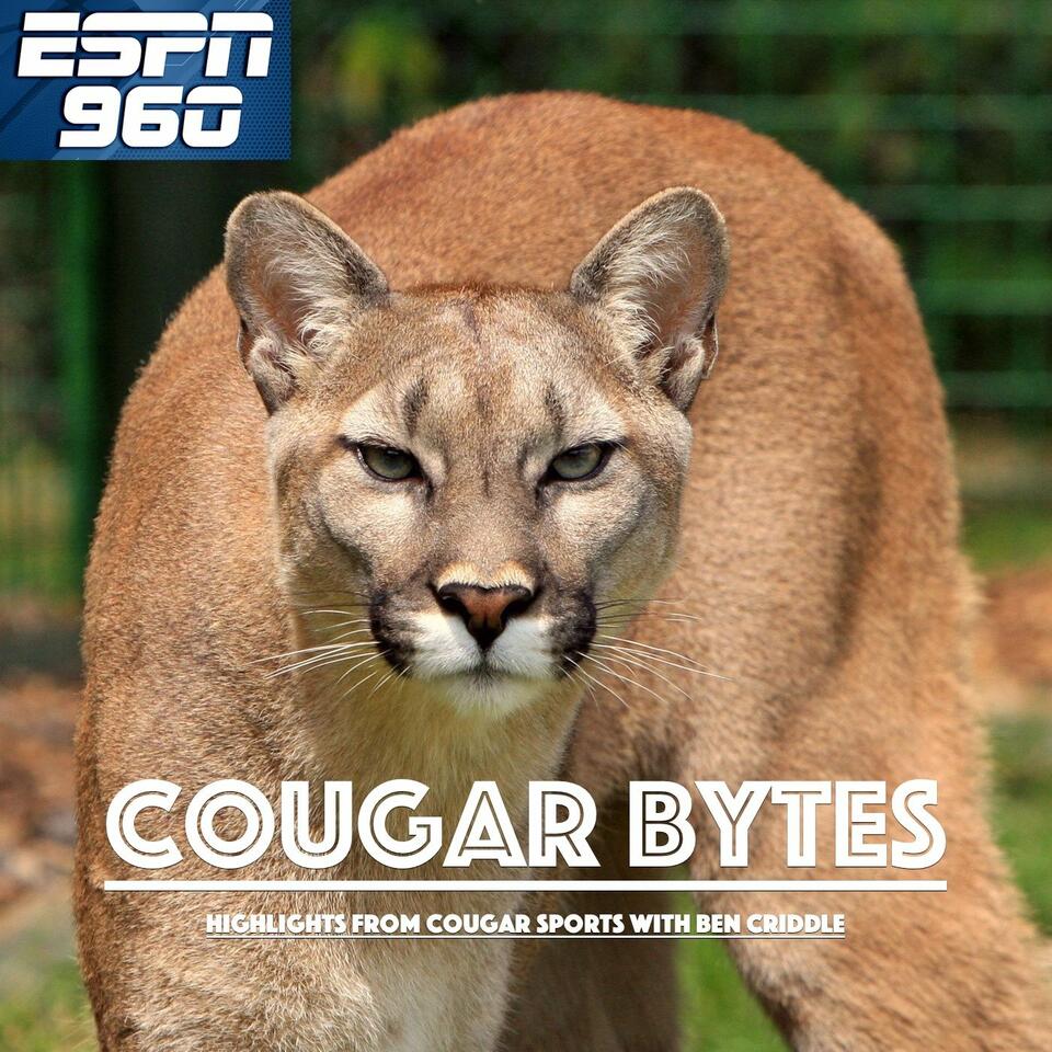 Cougar Bytes