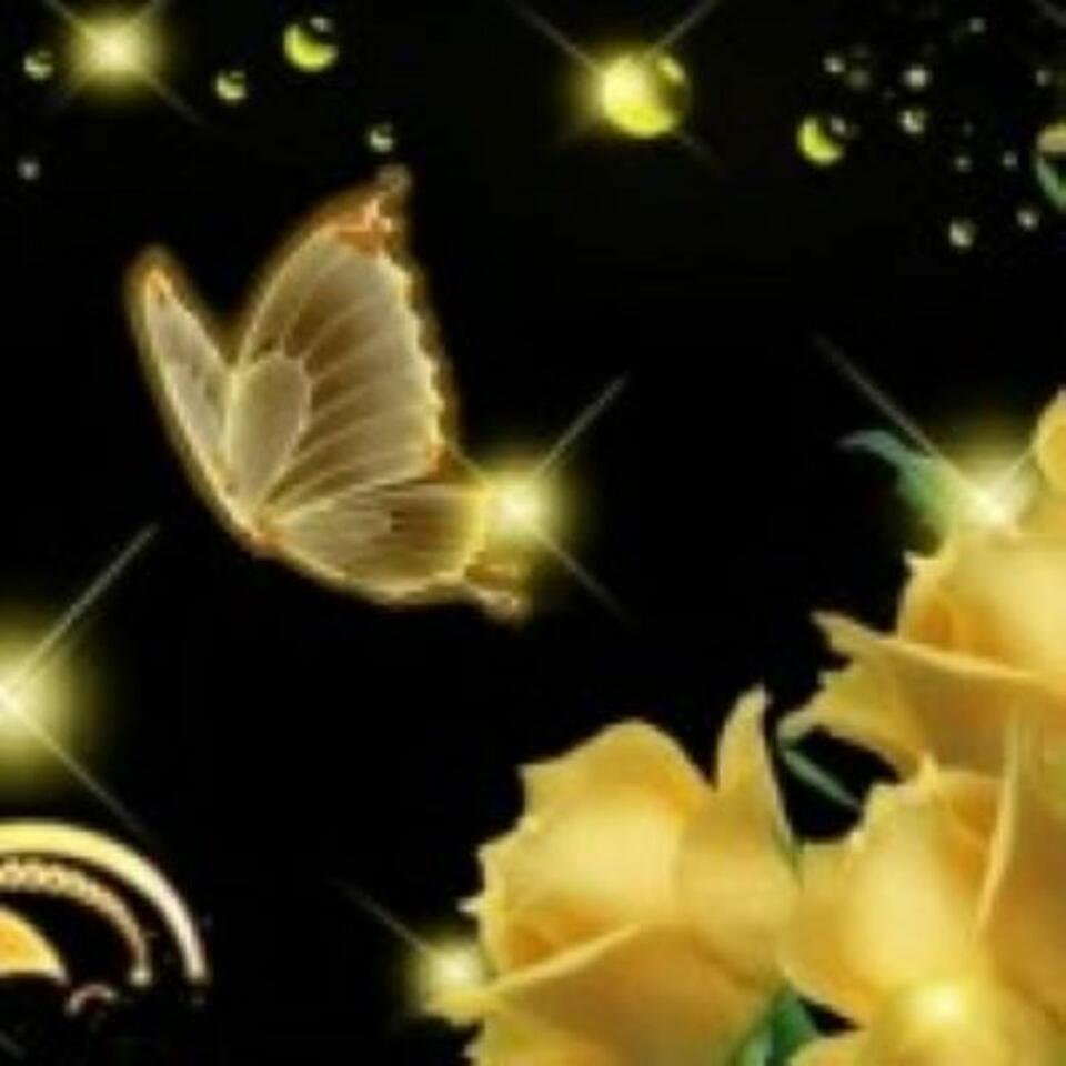 Im Yellow Butterfly's podcast