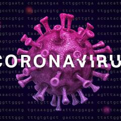 CoronaVirus(COVID-19)