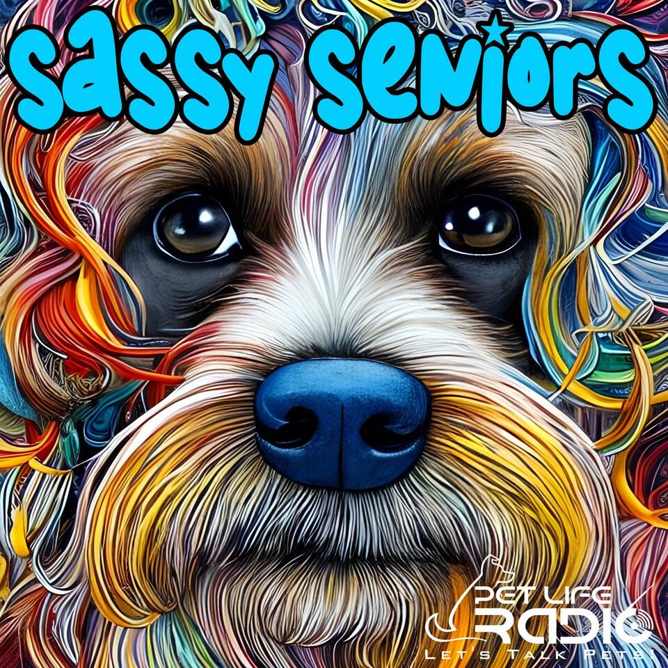 Sassy Seniors - Celebrating Senior Pets - Pet Life Radio Original
