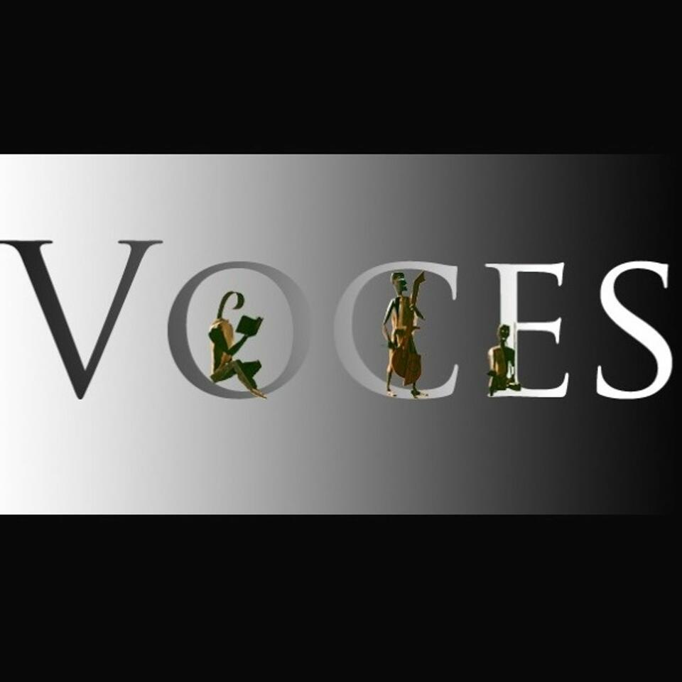 Programa Voces