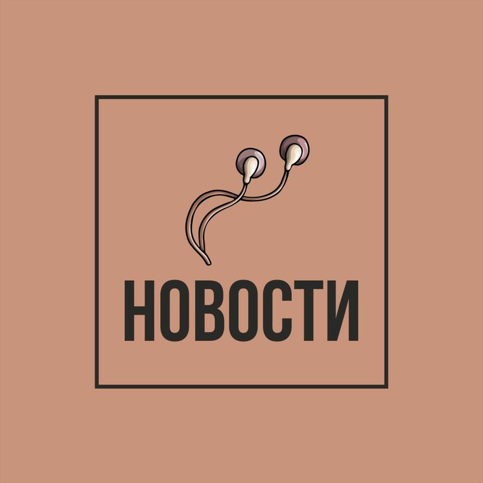 Новости