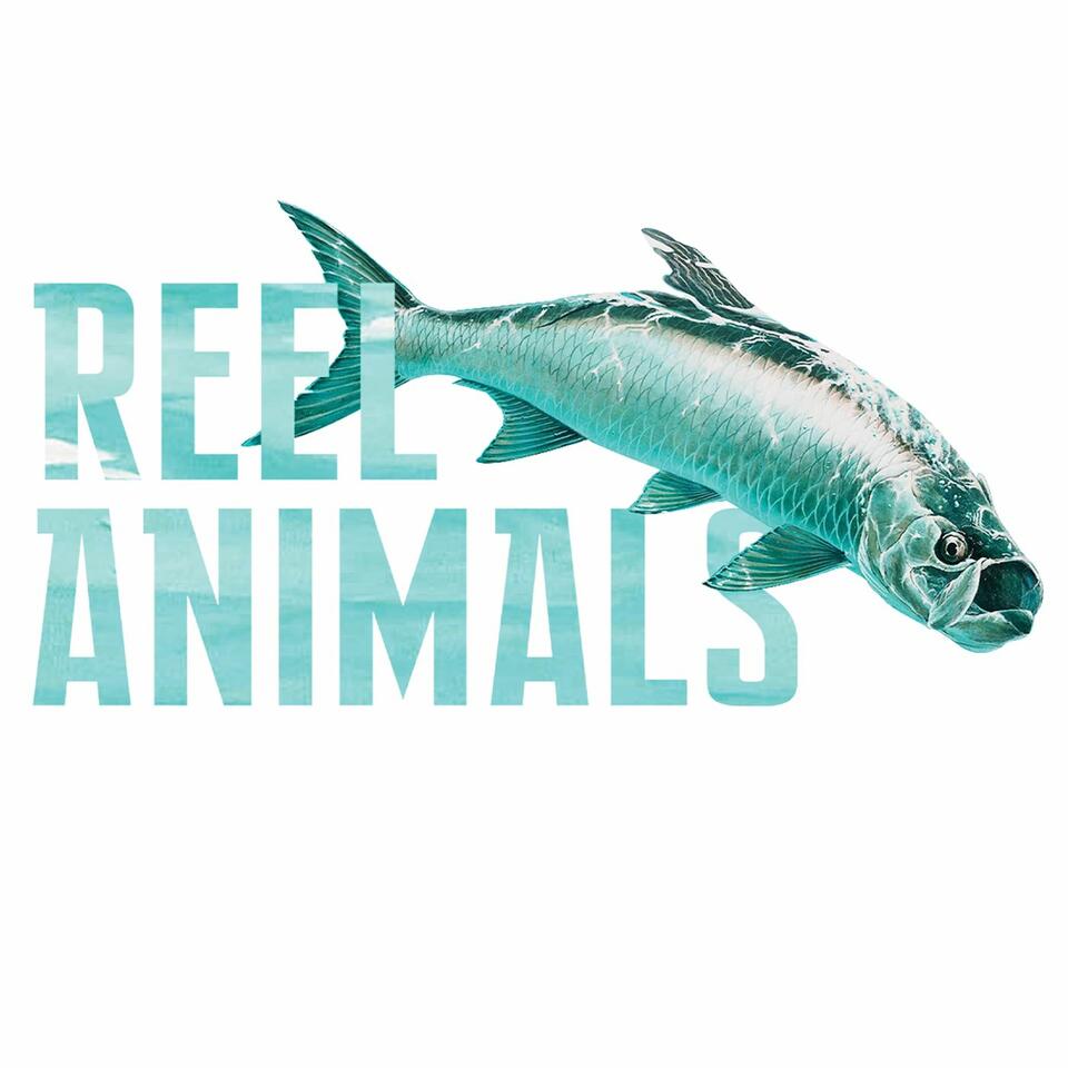 Reel Animals Saturday