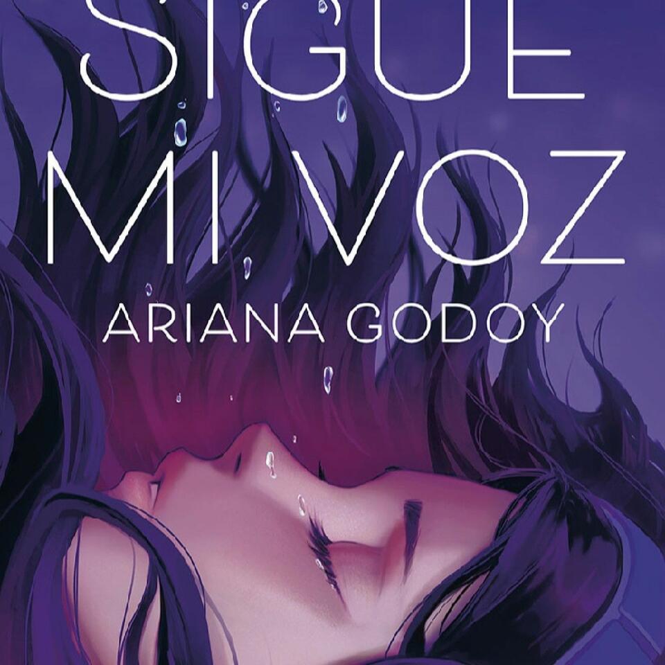 Sigue mi voz