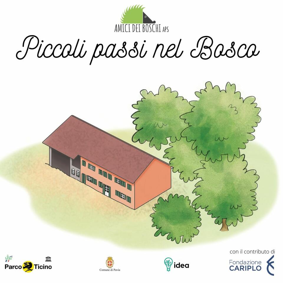 Piccoli passi nel Bosco