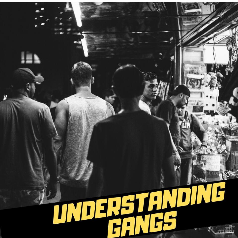 UNDERSTANDING GANGS