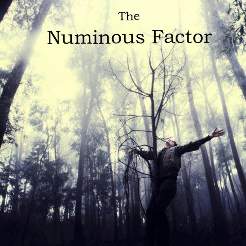 The Numinous Factor