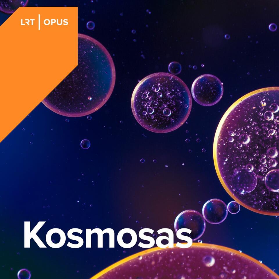 Kosmosas