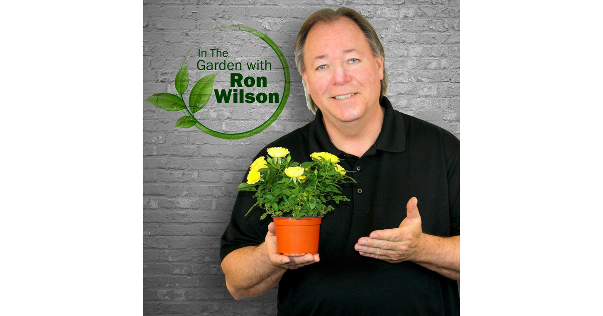 Predicting Buckeye Chuck's Predictions In The Garden With Ron Wilson