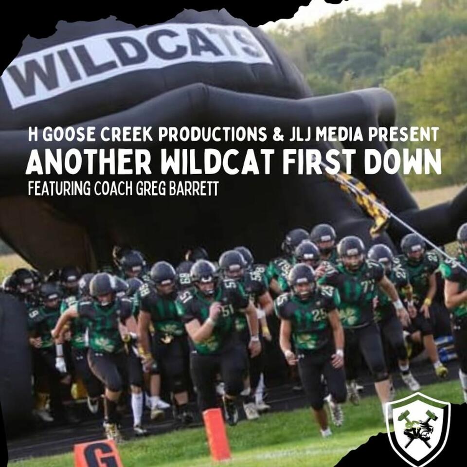 Another Wildcat First Down