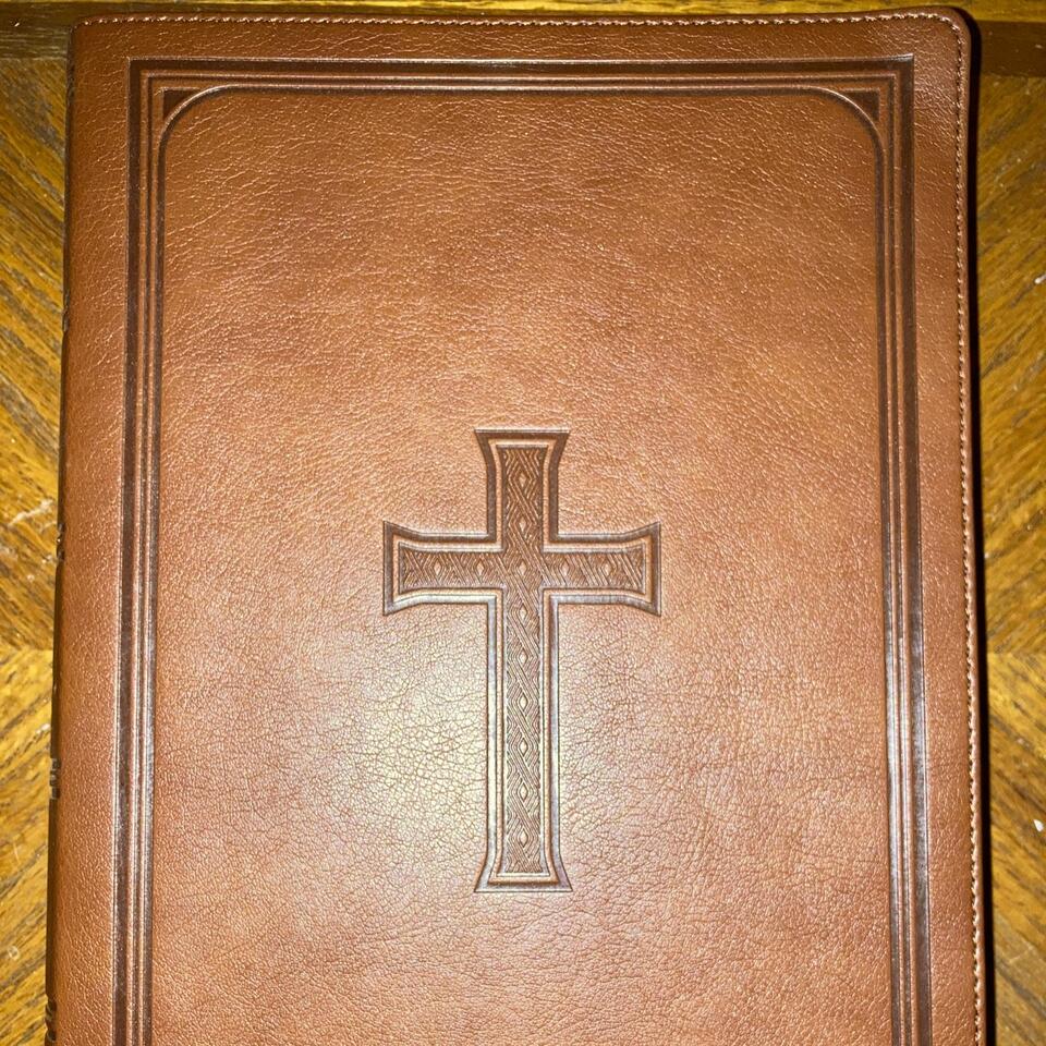 KJV Daily Bible Reading - New Testament